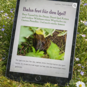 Bahn frei für Igel: EBooklet Bauanleitung Igel-Tunnel & viele Infos
