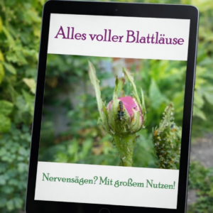Blattläuse: EBooklet über das "Plankton eures Gartens"
