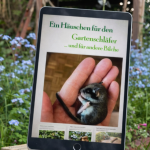 Ein Häuschen für Gartenschläfer: EBooklet mit Bauanleitung und vielen Infos