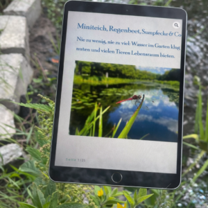 Miniteich, Regenbeet und Co: EBooklet mit Anleitungen für mehr Wasser im Garten