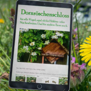 Dornröschen-Schloss für Vögel: EBooklet mit Bauanleitung für einen Höhlen/Nischenbrüterkasten