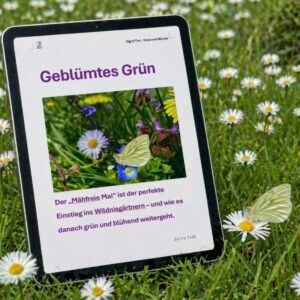 Mähfreier Mai: Alle Fragen, alle Antworten