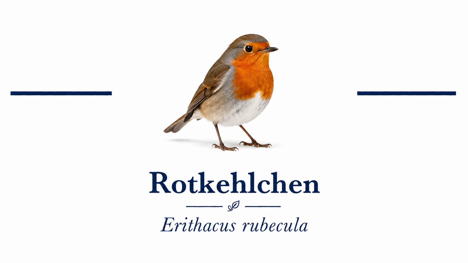 Wildnisgarten-Zertifizierung Spacer 15