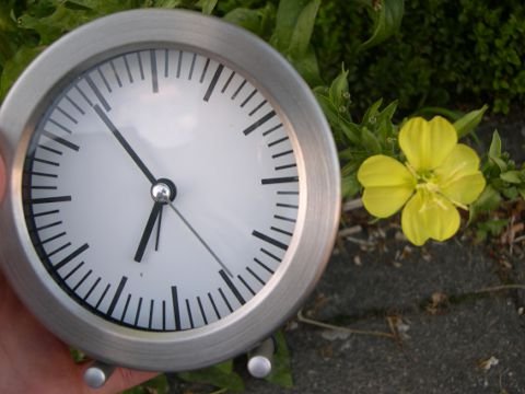 image00005