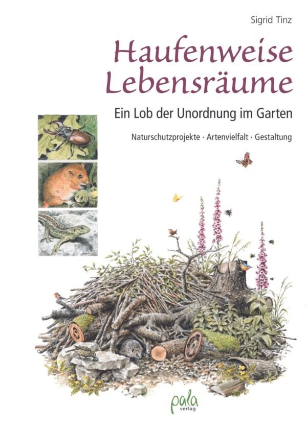 Garten-Natur-Insekten-Instagram (1)