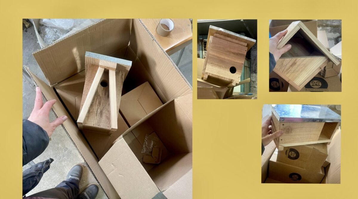 Nistkästen sind da