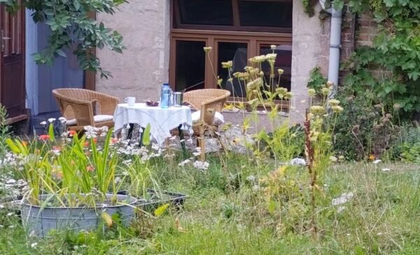Schöne wilde Ecken - Beispiele (15)