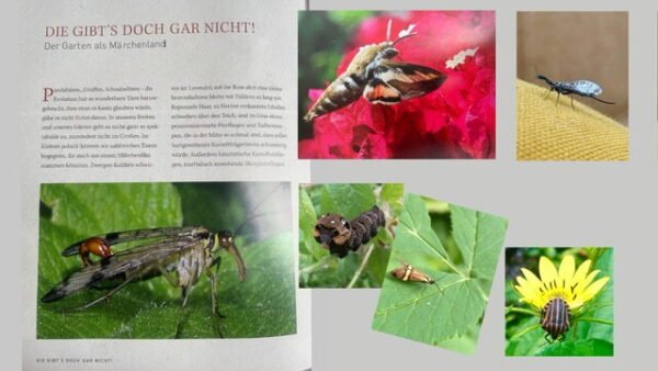 B Garten voller Tiere