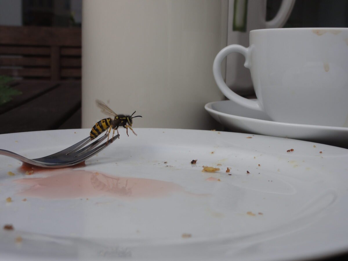 image00038